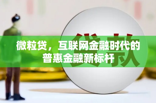 湖西微粒贷，互联网金融时代的普惠金融新标杆