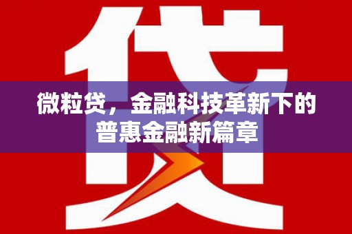湖西微粒贷，金融科技革新下的普惠金融新篇章