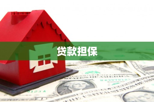 湖西贷款担保