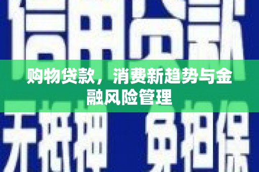 湖西购物贷款，消费新趋势与金融风险管理