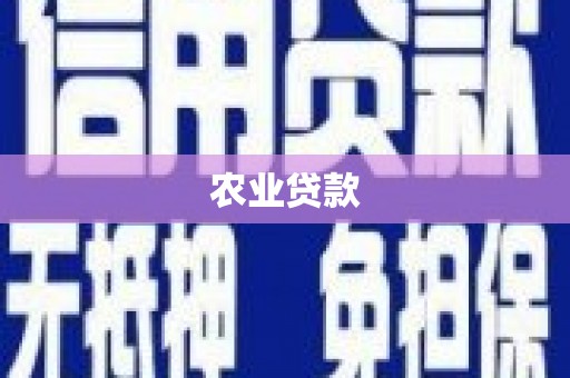 湖西农业贷款