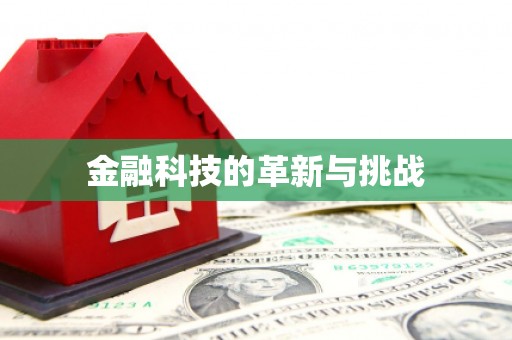 湖西金融科技的革新与挑战
