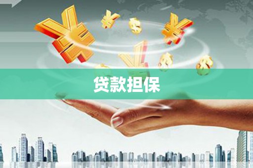 湖西贷款担保