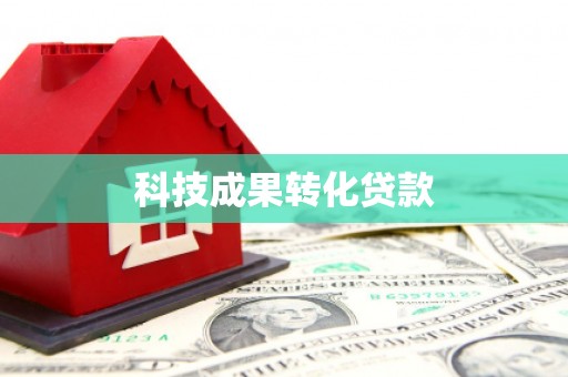 湖西科技成果转化贷款