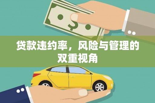 湖西贷款违约率，风险与管理的双重视角
