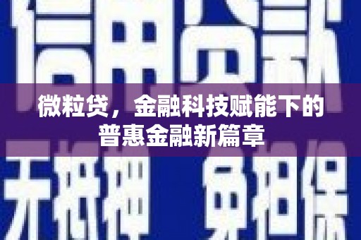 湖西微粒贷，金融科技赋能下的普惠金融新篇章
