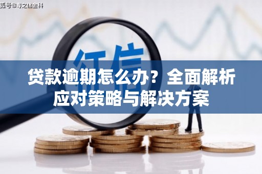 湖西贷款逾期怎么办？全面解析应对策略与解决方案