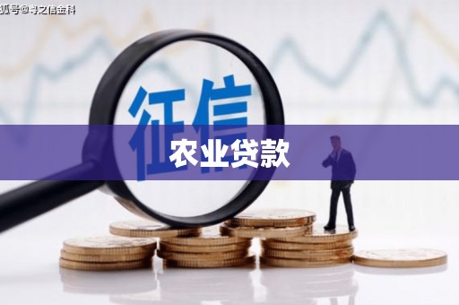 湖西农业贷款