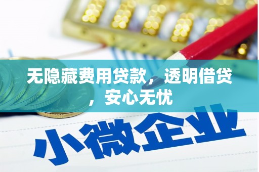 湖西无隐藏费用贷款，透明借贷，安心无忧