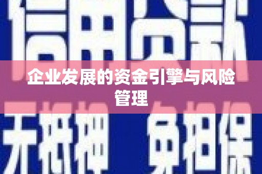 湖西企业发展的资金引擎与风险管理