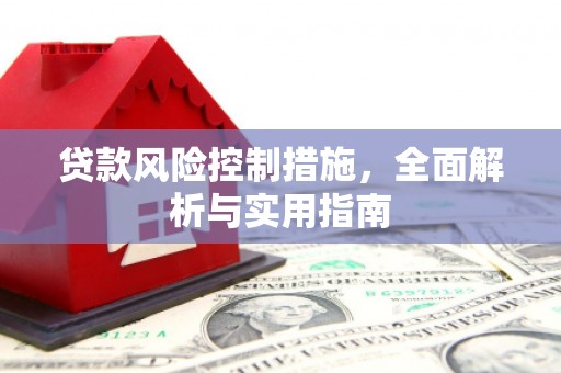 湖西贷款风险控制措施，全面解析与实用指南