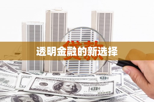 湖西透明金融的新选择