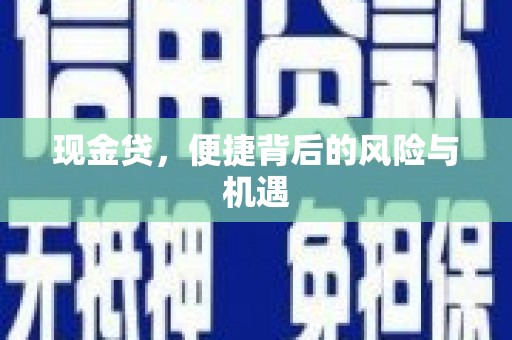 湖西现金贷，便捷背后的风险与机遇