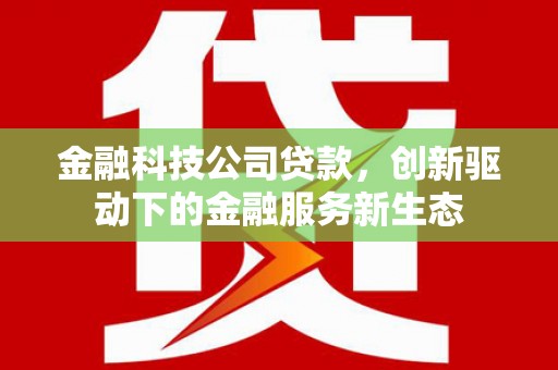 湖西金融科技公司贷款，创新驱动下的金融服务新生态