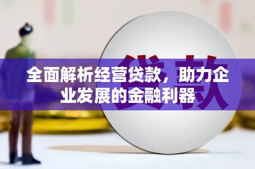 湖西全面解析经营贷款，助力企业发展的金融利器