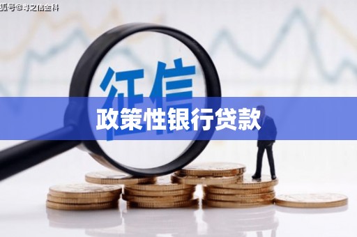 湖西政策性银行贷款
