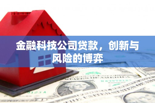 湖西金融科技公司贷款，创新与风险的博弈
