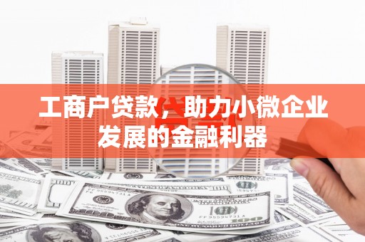 湖西工商户贷款，助力小微企业发展的金融利器