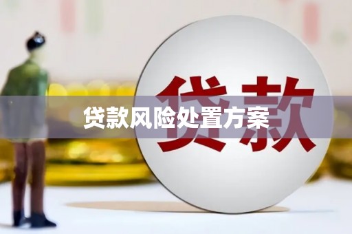 湖西贷款风险处置方案