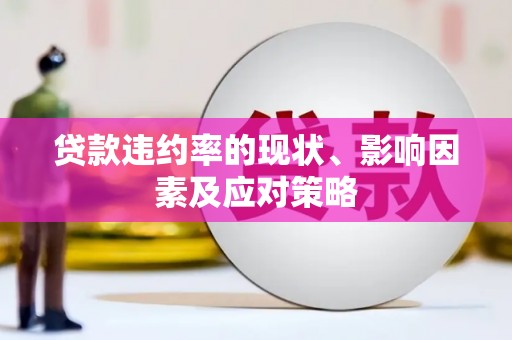 湖西贷款违约率的现状、影响因素及应对策略