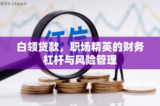 湖西白领贷款，职场精英的财务杠杆与风险管理
