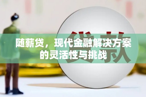 湖西随薪贷，现代金融解决方案的灵活性与挑战