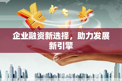 湖西企业融资新选择，助力发展新引擎