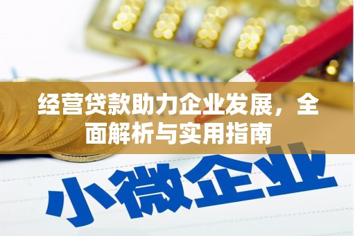 湖西经营贷款助力企业发展，全面解析与实用指南