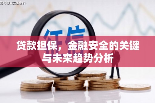 湖西贷款担保，金融安全的关键与未来趋势分析