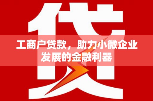 湖西工商户贷款，助力小微企业发展的金融利器