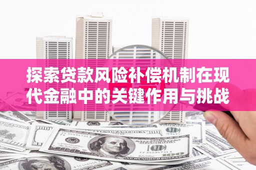湖西探索贷款风险补偿机制在现代金融中的关键作用与挑战