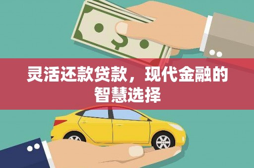 湖西灵活还款贷款，现代金融的智慧选择