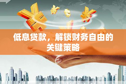 湖西低息贷款，解锁财务自由的关键策略