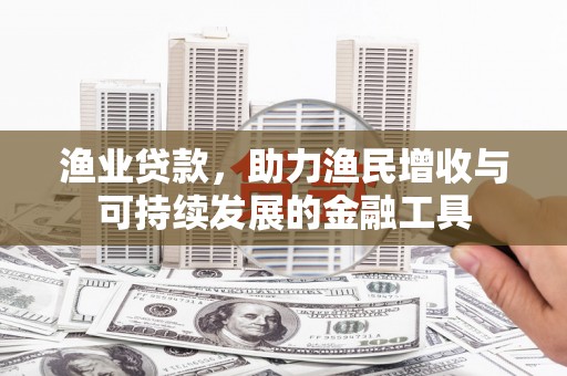 湖西渔业贷款，助力渔民增收与可持续发展的金融工具