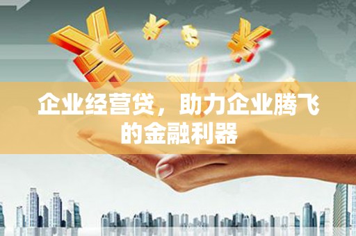 湖西企业经营贷，助力企业腾飞的金融利器