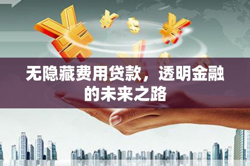 湖西无隐藏费用贷款，透明金融的未来之路