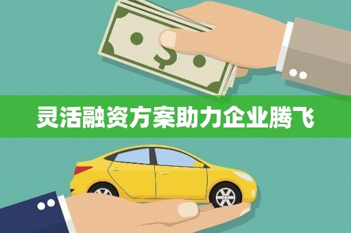 湖西灵活融资方案助力企业腾飞
