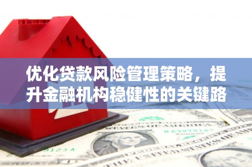 湖西优化贷款风险管理策略，提升金融机构稳健性的关键路径