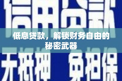 湖西低息贷款，解锁财务自由的秘密武器