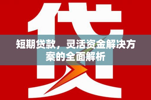 湖西短期贷款，灵活资金解决方案的全面解析
