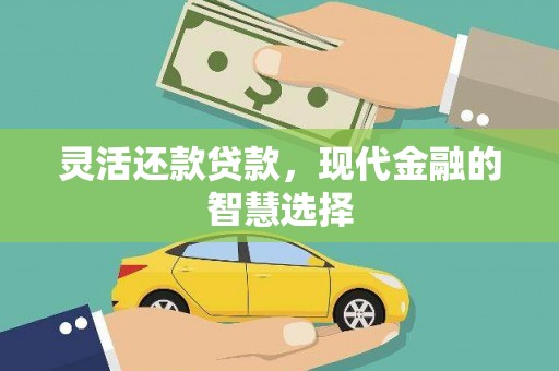 湖西灵活还款贷款，现代金融的智慧选择