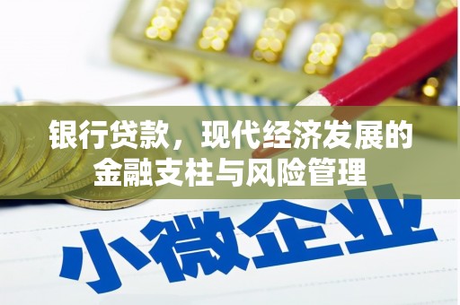 湖西银行贷款，现代经济发展的金融支柱与风险管理