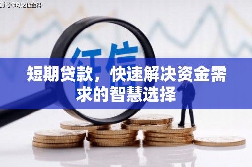 湖西短期贷款，快速解决资金需求的智慧选择