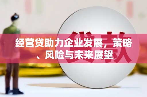 湖西经营贷助力企业发展，策略、风险与未来展望