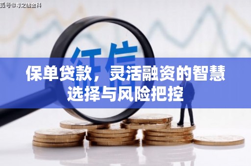 湖西保单贷款，灵活融资的智慧选择与风险把控