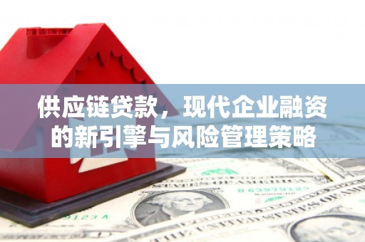 湖西供应链贷款，现代企业融资的新引擎与风险管理策略