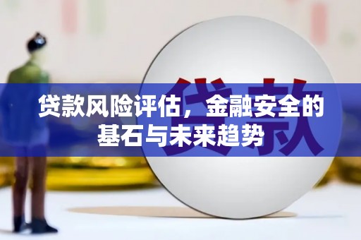 湖西贷款风险评估，金融安全的基石与未来趋势