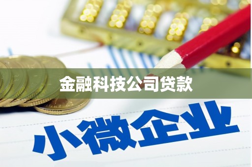 湖西金融科技公司贷款
