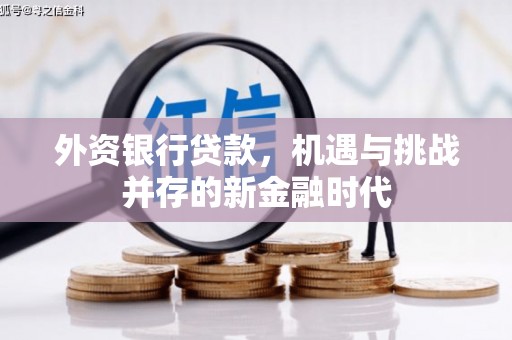 湖西外资银行贷款，机遇与挑战并存的新金融时代