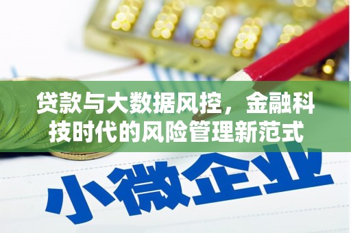 湖西贷款与大数据风控，金融科技时代的风险管理新范式